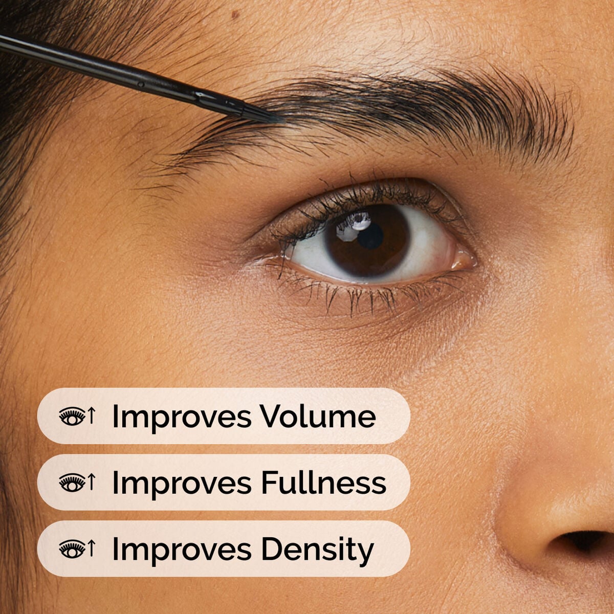 Multi-Peptide Lash and Brow Serum Targeted Eye Support J1