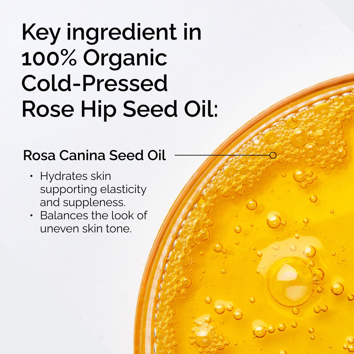 Organic Cold-Pressed Rose Hip Seed Oil Nourishing Face Oil X1
